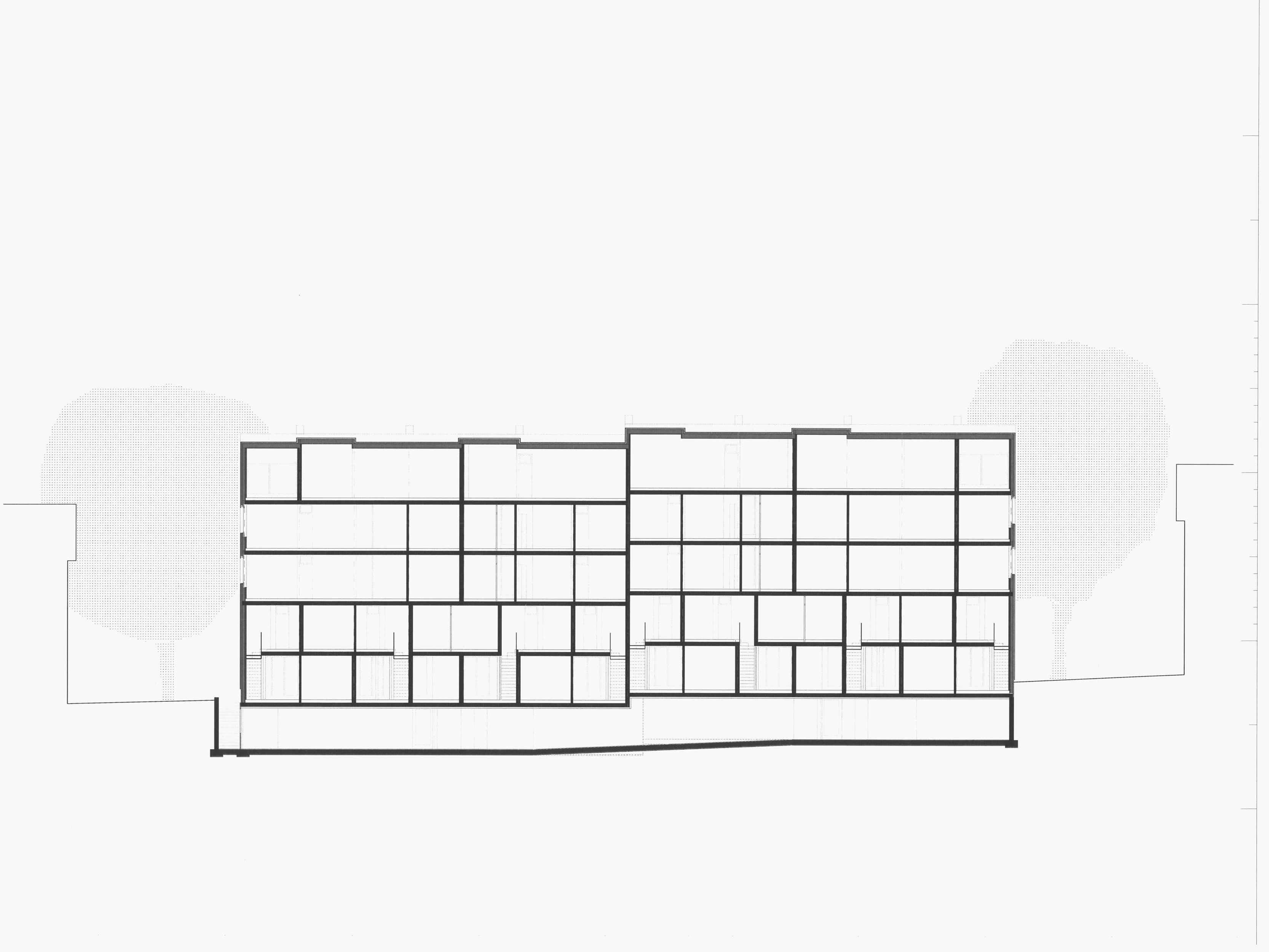 Longitudinal section