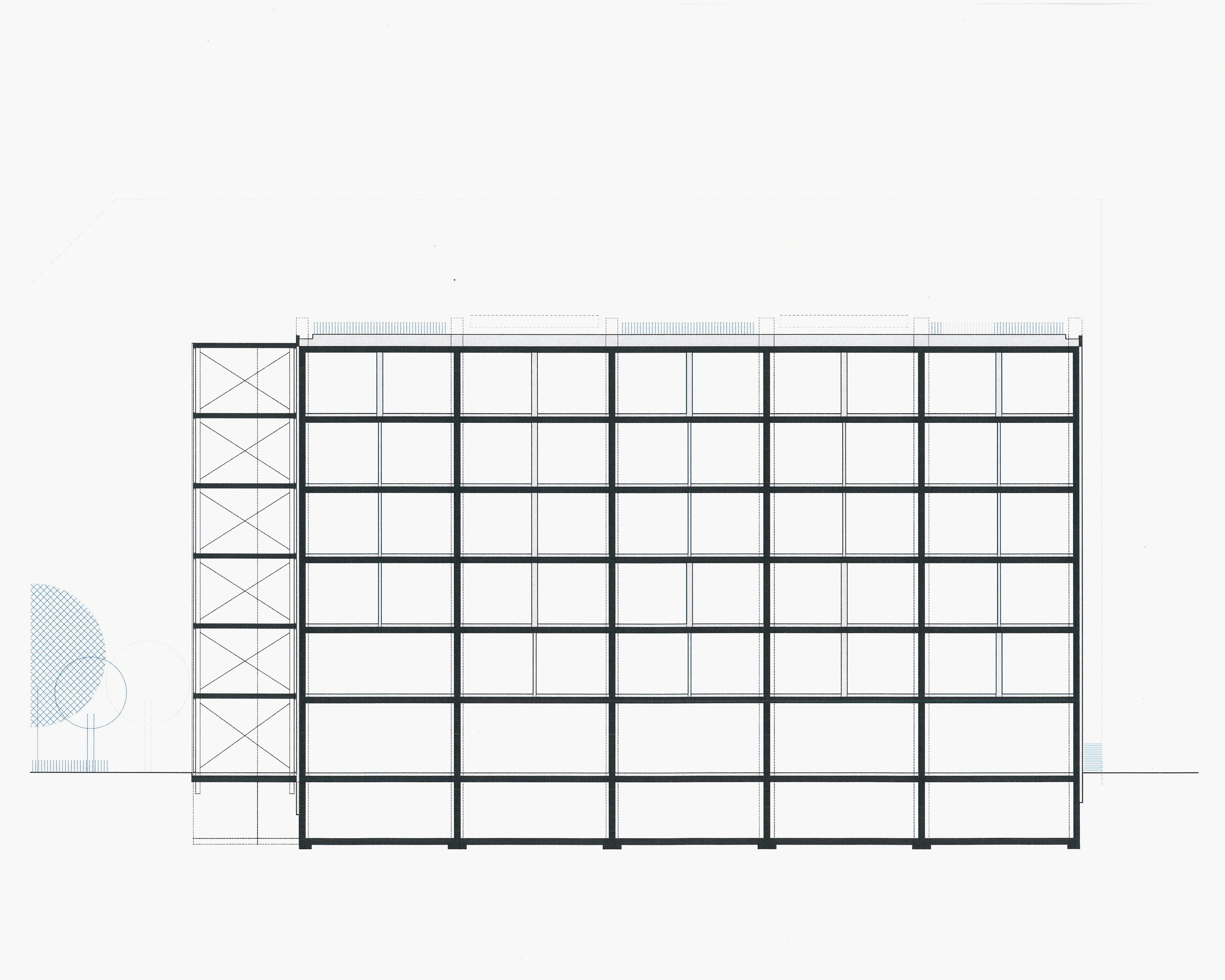 Longitudinal section